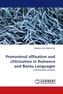 Pronominal affixation and cliticization in Romance and Bantu Languages