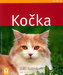 Kočka
