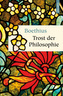 Trost der Philosophie