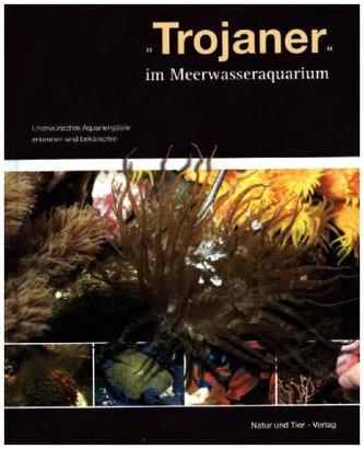 'Trojaner' im Meerwasseraquarium