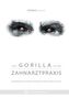 Der Gorilla in der Zahnarztpraxis