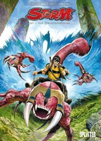 Storm - Die Weichenwärter