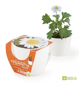 Mini zahrádka - Mini květináč Ceramic s kopretinou