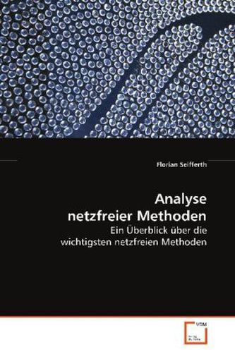 Analyse netzfreier Methoden