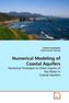 Numerical Modeling of Coastal Aquifers