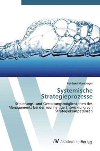 Systemische Strategieprozesse