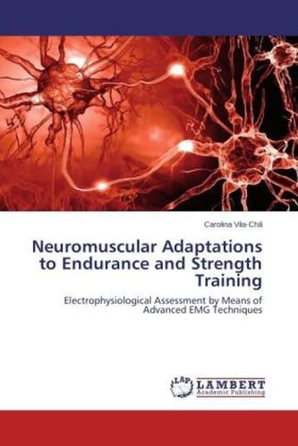 Neuromuscular Adaptations to Endurance and Strength Training
