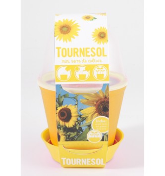 Mini zahrádka - Květináč Bell se slunečnicí