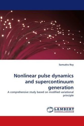 Nonlinear pulse dynamics and supercontinuum generation