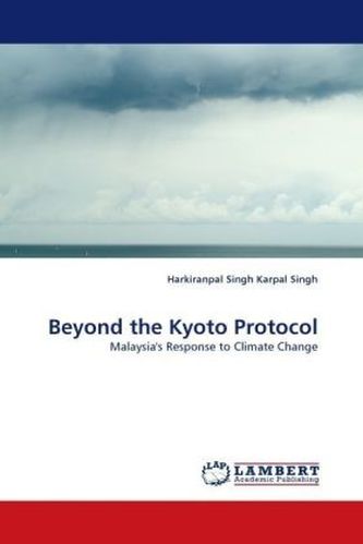 Beyond the Kyoto Protocol