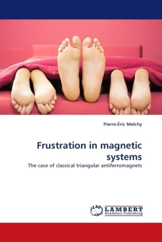 Frustration in magnetic systems