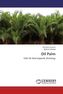 Oil Palm