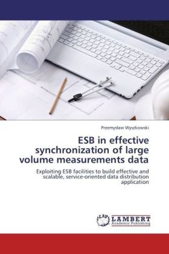 ESB in effective synchronization of large volume measurements data
