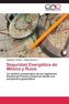Seguridad Energética de México y Rusia