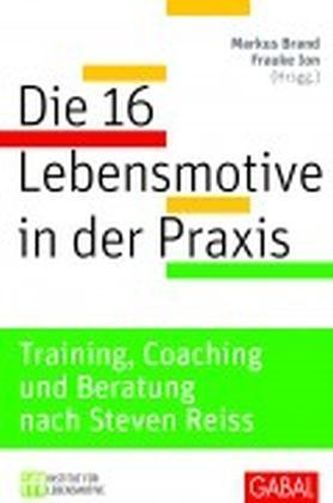 Die 16 Lebensmotive in der Praxis