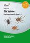 Die Spinne, m. CD-ROM