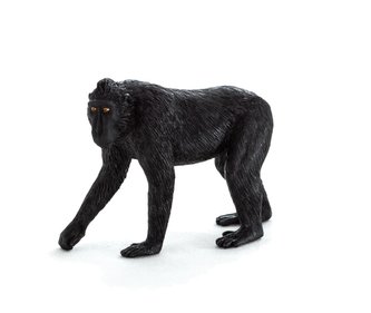 Mojo Animal Planet Makak chocholatý