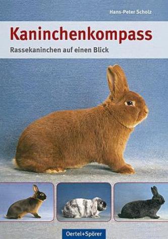 Kaninchen-Kompass