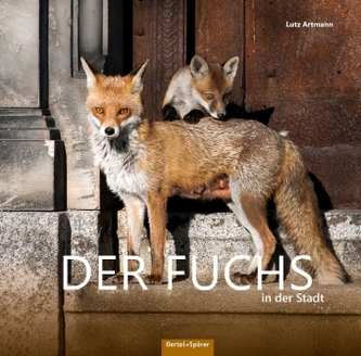 Der Fuchs in der Stadt