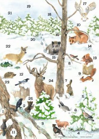 Warum sich die Tiere auf Weihnachten freuen, m. Begleitbuch