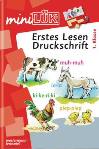 Erstes Lesen, Druckschrift