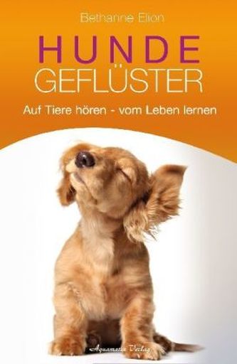 Hundegeflüster Hundegeflüster