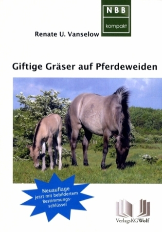 Giftige Gräser auf Pferdeweiden