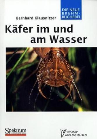 Käfer im und am Wasser