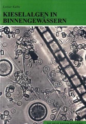 Kieselalgen in Binnengewässern