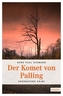 Der Komet von Palling