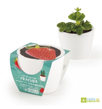 Mini zahrádka - Mini květináč Ceramic s jahodami