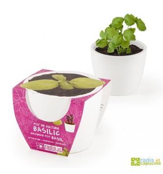 Mini zahrádka - Mini květináč Ceramic s bazalkou