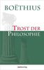 Trost der Philosophie