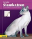 Siamkatzen