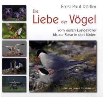 Die Liebe der Vögel