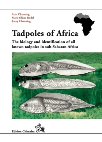 Tadpoles of Africa
