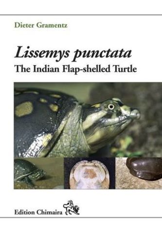 Lissemys punctata
