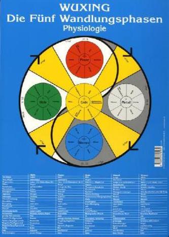 Wuxing Die fünf Wandlungsphasen - Physiologie, Tafel
