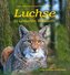 Luchse in unseren Wäldern