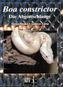 Boa constrictor