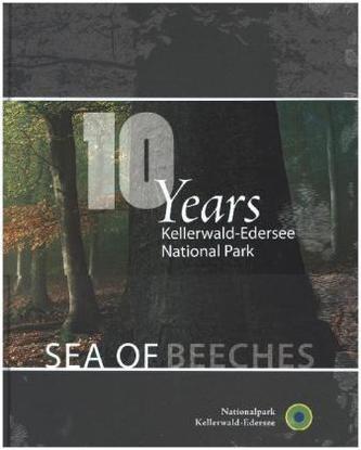 Kellerwald-Edersee National Park Sea of beeches