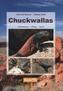 Chuckwallas