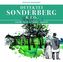 Sonderberg & Co. und der Mord auf Schloss Jägerhof, 2 Audio-CDs