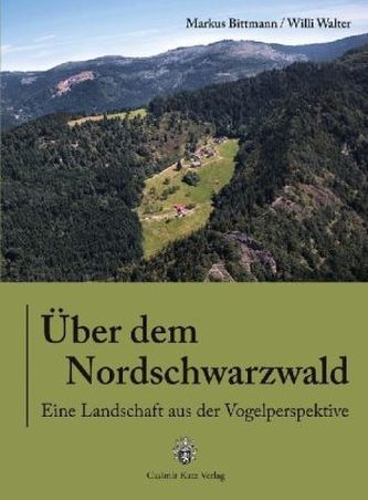 Über dem Nordschwarzwald