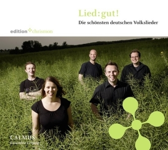 Lied: gut!, 1 Audio-CD