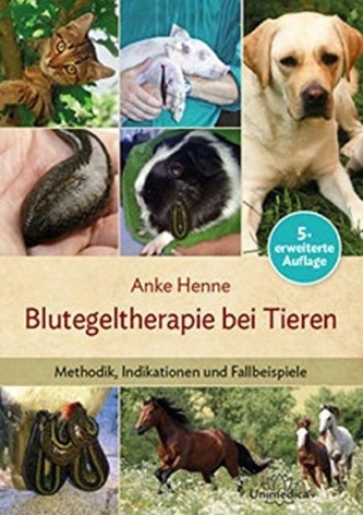 Blutegeltherapie bei Tieren