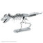 3D puzzle Metal Earth: Skeleton T-Rex
