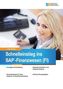 Schnelleinstieg ins SAP-Finanzwesen (FI)
