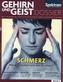 Schmerz