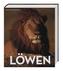 LÖWEN - Die Herrscher der Savanne